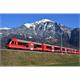 Bemo 7245103 RhB ABe 4/16 3113 Capricorn "Calanda", H0m