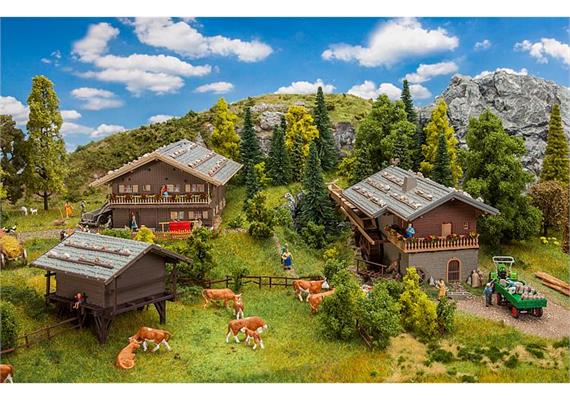 Faller 190064 Aktions-Set Alpendorf