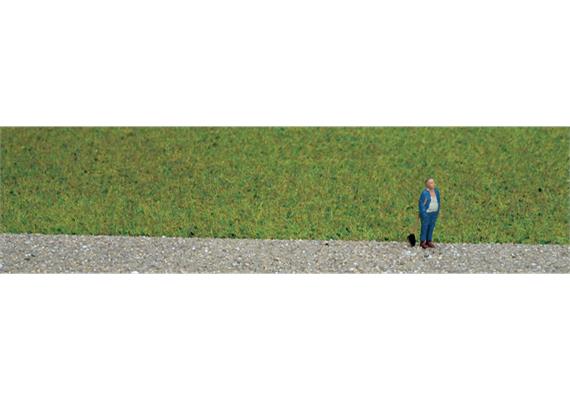 Noch 07072 Grasmischung Sommerwiese 50g Beutel