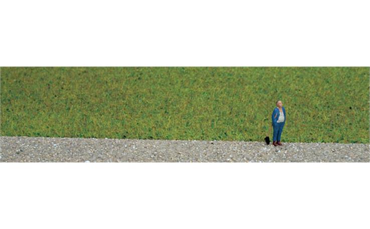 Noch 07072 Grasmischung Sommerwiese 50g Beutel