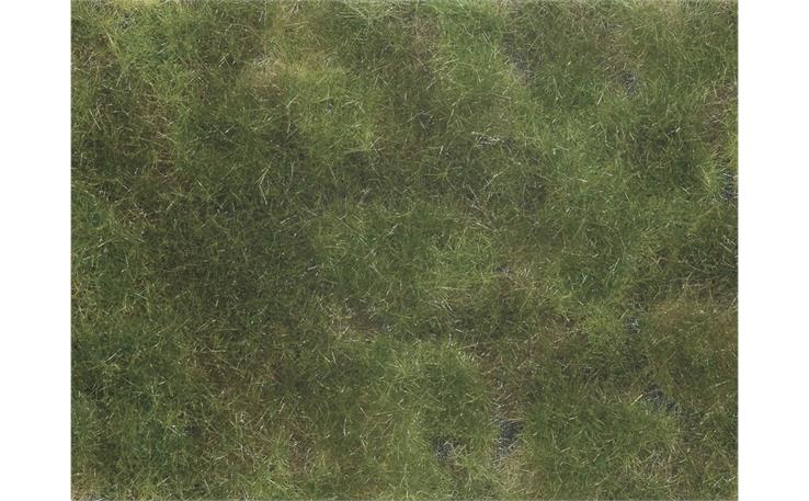 Noch 07251 Bodendecker-Foliage olivgrün 12 x 18 cm