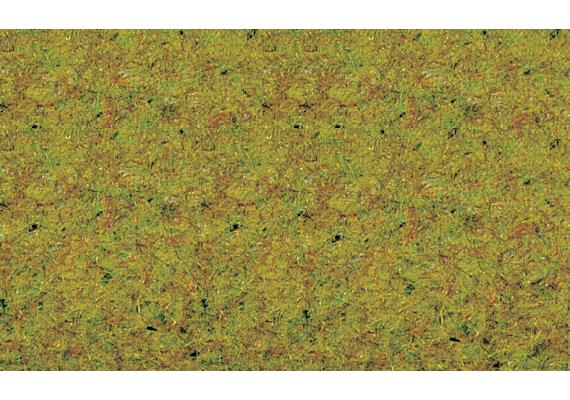 Noch 08310 Sommerwiesen-Gras 20g Beutel (VE5)