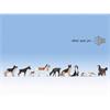 Noch 12852 Sound-Szene Hunde