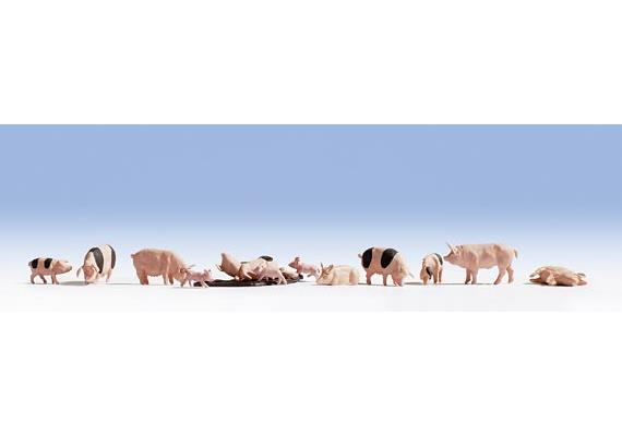 Noch 15712 Schweine