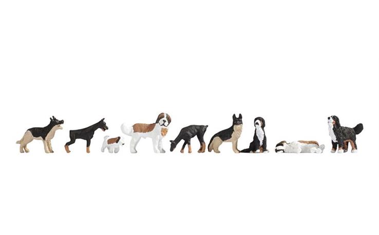Noch 15717 Hunde