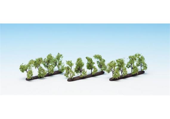 Noch 21530 Plantagenbäume, 12 Stück 3.5cm hoch