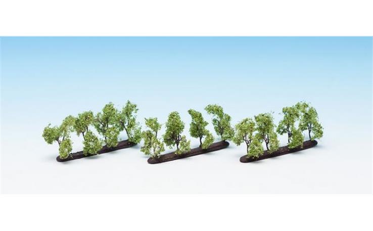 Noch 21530 Plantagenbäume, 12 Stück 3.5cm hoch