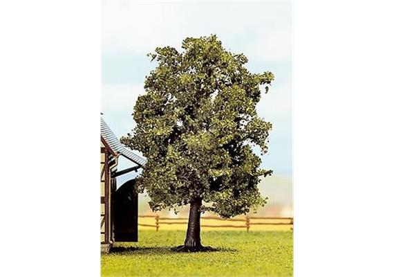 Noch 21690 Hainbuche 13 cm