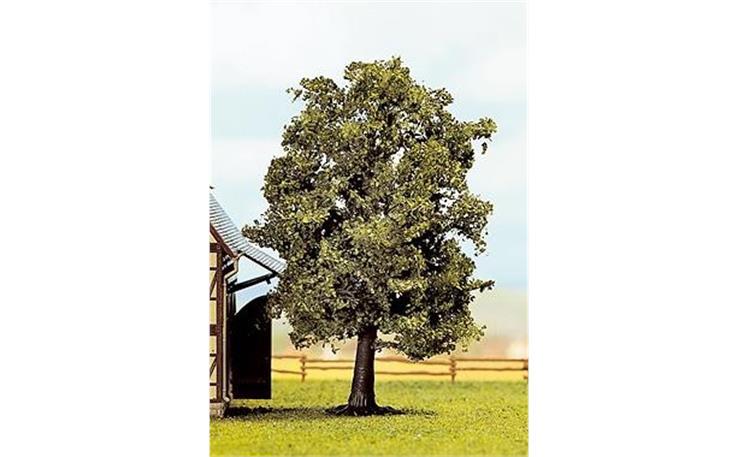 Noch 21690 Hainbuche 13 cm