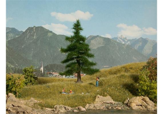 Noch 21810 Nordmanntanne 12 cm hoch