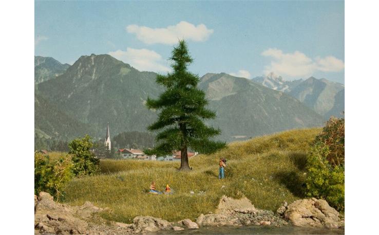 Noch 21810 Nordmanntanne 12 cm hoch