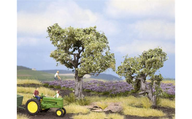 Noch 21995 Olivenbäume