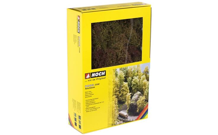 Noch 23100 Naturbäume