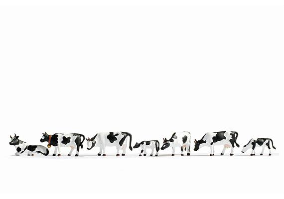 Noch 36721 Kühe schwarz-weiss