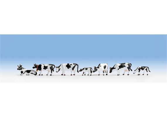 Noch 36721 Kühe schwarz-weiss