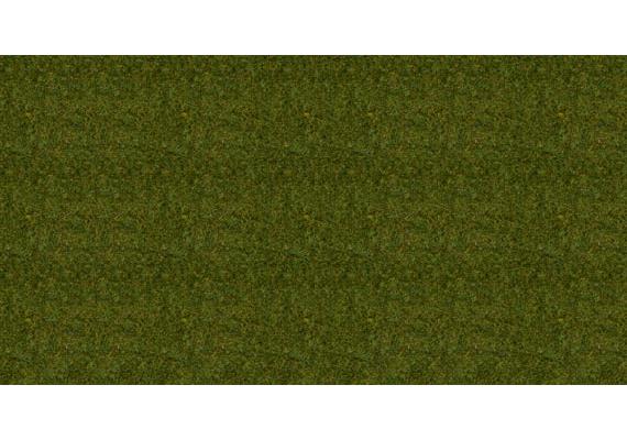 Noch 50220 Gras Wiese 2,5 mm 100g Beutel