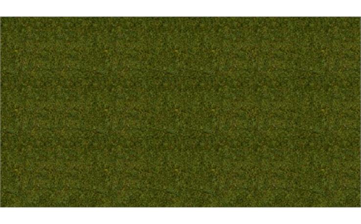 Noch 50220 Gras Wiese 2,5 mm 100g Beutel
