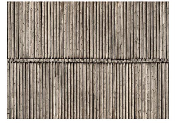 Noch 56664 3D-Kartonplatte Bretterwand