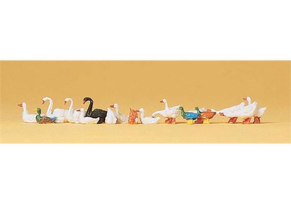 Preiser 14167 Enten, Gänse und Schwäne, Set mit 16 Figuren