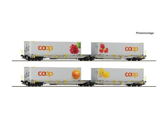 Roco 6600323 2er Set Doppeltaschenwagen T2000 + Coop Set 2