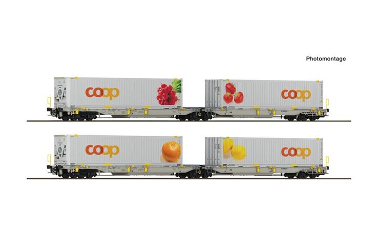 Roco 6600323 2er Set Doppeltaschenwagen T2000 + Coop Set 2