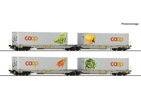Roco 6600464 Doppeltaschen-Gelenkwagen Set 2-tlg T2000 Coop, railCare, H0