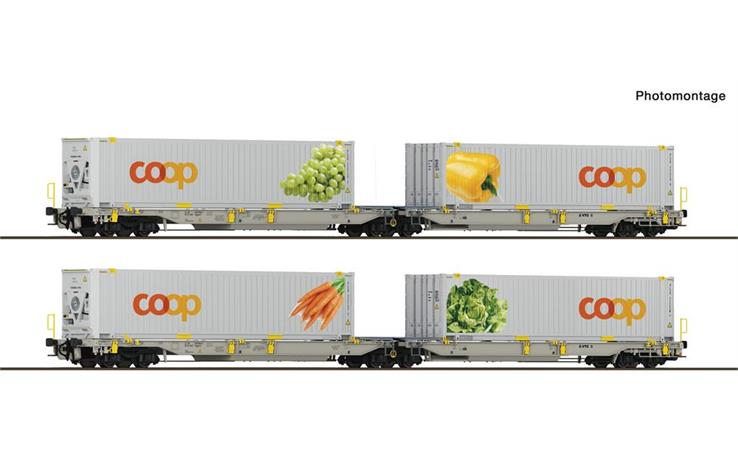 Roco 6600464 Doppeltaschen-Gelenkwagen Set 2-tlg T2000 Coop, railCare, H0